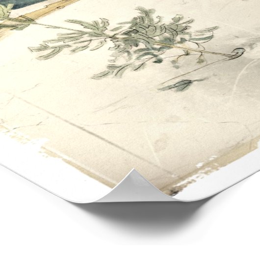 Poster À feuillage persistant (Coin)