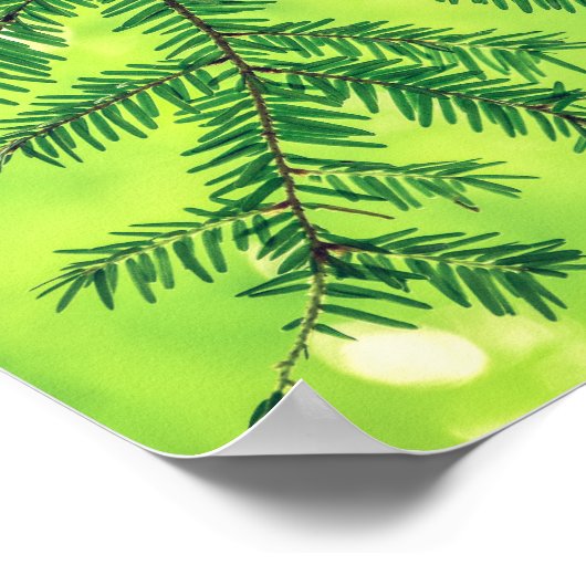 Poster À feuillage persistant Nature Pine Trees Green Pos (Coin)