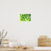 Poster À feuillage persistant Nature Pine Trees Green Pos (Cuisine)