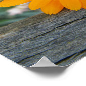 Poster à fleurs orange (Coin)