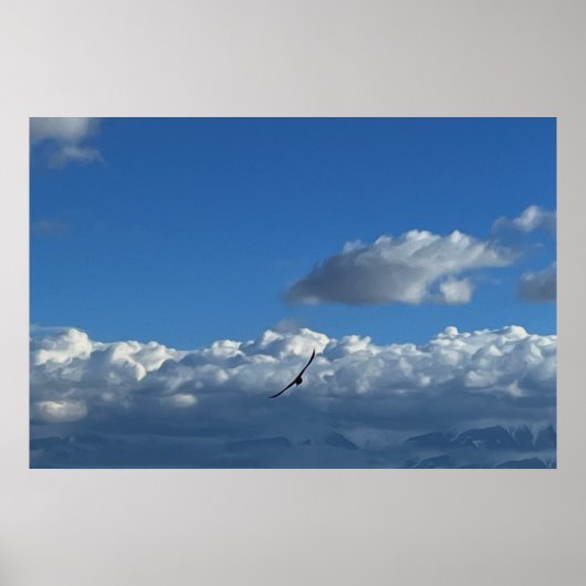 Poster A Flouds (Devant)
