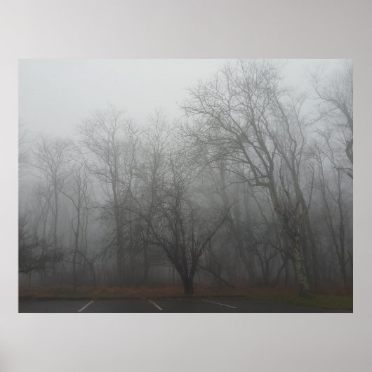 Poster A foggy day on the Skyline Drive in Virginia (Devant)