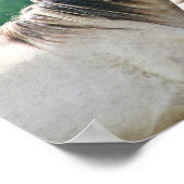 Poster A herd of Brumby Horses from Australia (Coin)