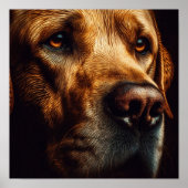 Poster A.I. Sad Labrador (Devant)