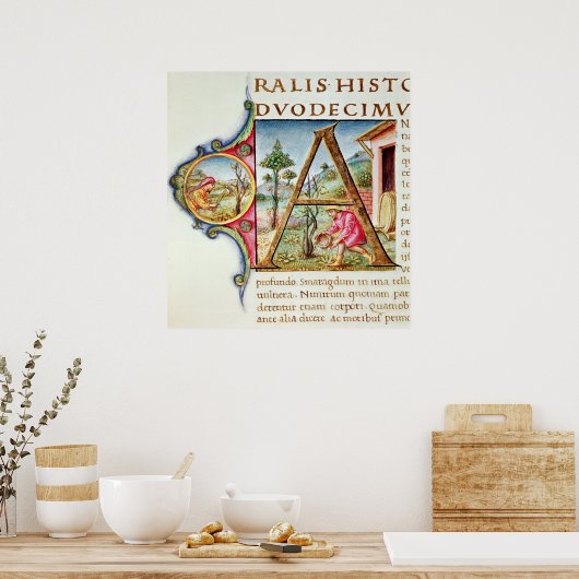 Poster 'A' initial historique représentant (Cuisine)