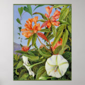 Poster A Javan Rhododendrum et Ipomoea (Devant)