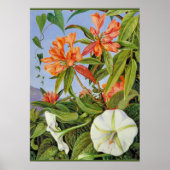 Poster A Javan Rhododendrum et Ipomoea (Devant)
