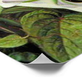 Poster A Javan Rhododendrum et Ipomoea (Coin)