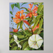 Poster A Javan Rhododendrum et Ipomoea (Devant)