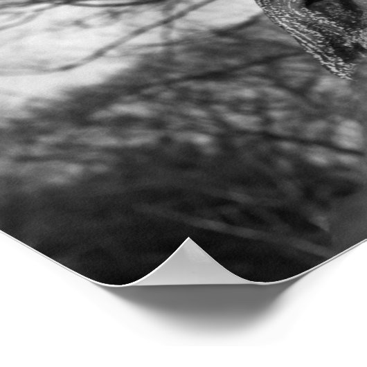 Poster À la distance (Coin)