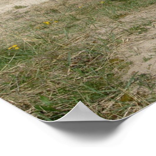 Poster À la plage (Coin)