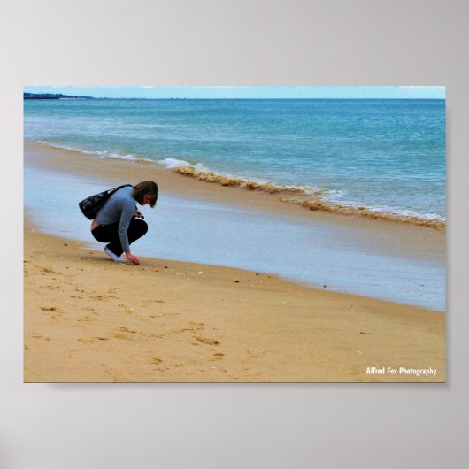 Poster À la recherche de la coquille parfaite (Devant)