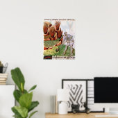 Poster A la recherche de soufre, Dioscorides 'De Herbis' (Bureau à domicile)