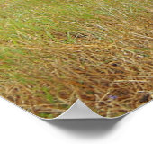 Poster À l'affiche avant (Coin)