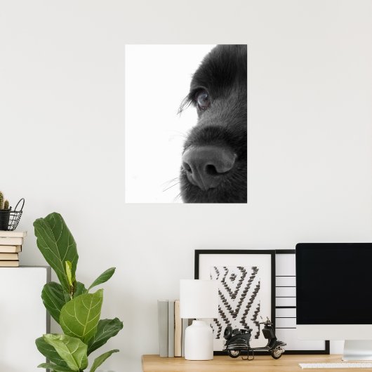 Poster À l'âme - Cocker au chocolat Portrait espagnol (Bureau à domicile)