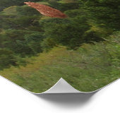 Poster À l'arrière des chameaux de baiser dans le jardin (Coin)