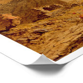 Poster À l'entrée principale du Purana Qila, Delhi (Coin)