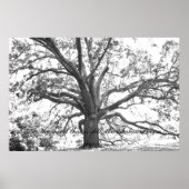 Poster À l'esprit qui est encore. (Devant)