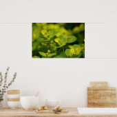 Poster À l'infini et au-delà ! (Cuisine)