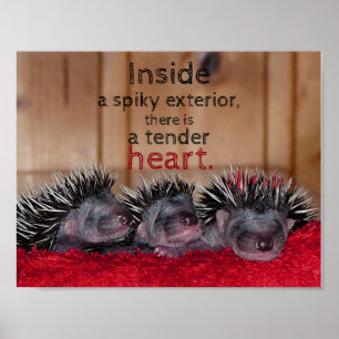 Poster À l'intérieur d'un extérieur épicé, il y a un coeu