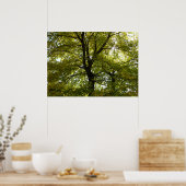 Poster À l'intérieur d'une érablière jaune automne (Cuisine)