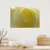 Poster À l'intérieur d'une rose blanche (Cuisine)