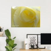 Poster À l'intérieur d'une rose blanche (Bureau à domicile)
