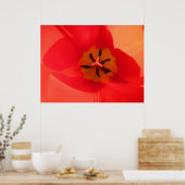 Poster À l'intérieur d'une tulipe (Cuisine)