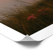 Poster À l'orée du monde (Coin)