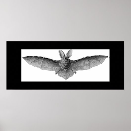 POSTER À MACHINE (Devant)