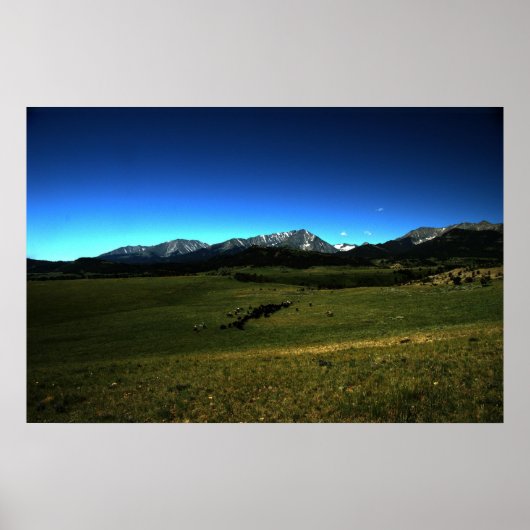 Poster A Montana Cattle Drive (Devant)