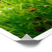 Poster A Mother’s Kiss (Coin)