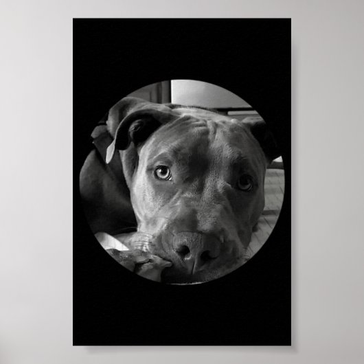 Poster à puces (Devant)