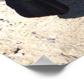 Poster à queue de bateau (Coin)