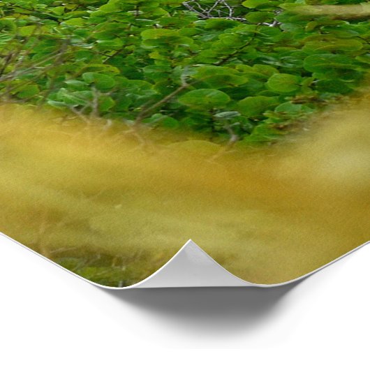 Poster A Sentinel Rising (Coin)