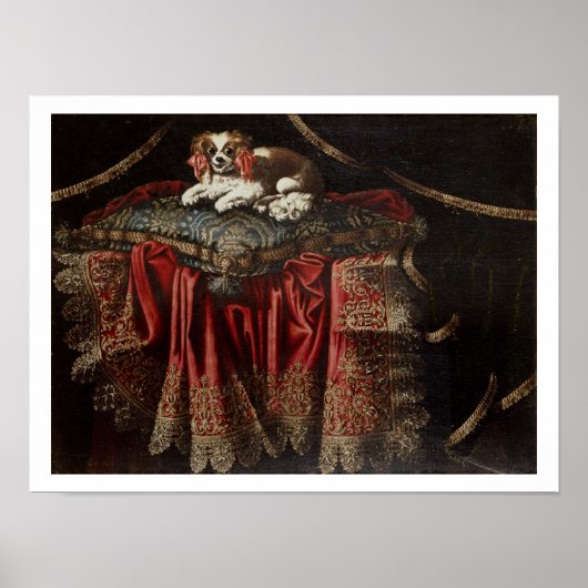 Poster A spaniel seated on embroidered cushion (Devant)