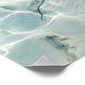 Poster A Stingray (Coin)