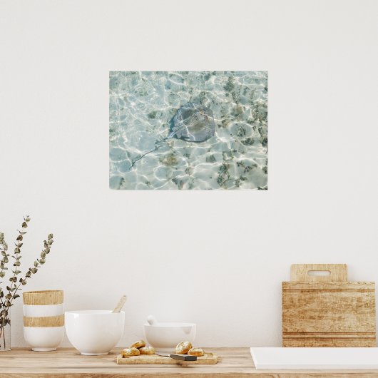 Poster A Stingray (Cuisine)