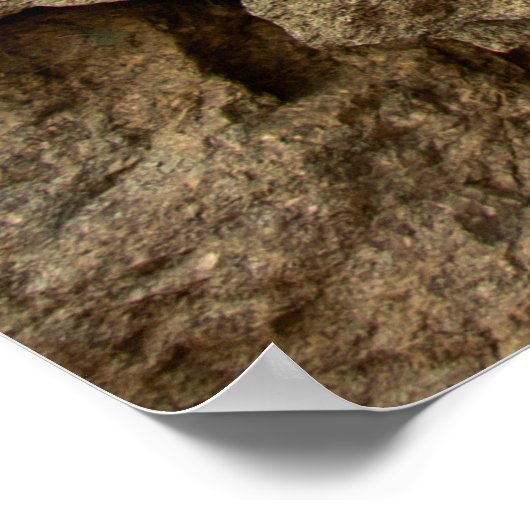 Poster A stone wall made of cobblestones background textu (Coin)