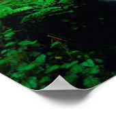 Poster A stream en old-growth forest (Coin)