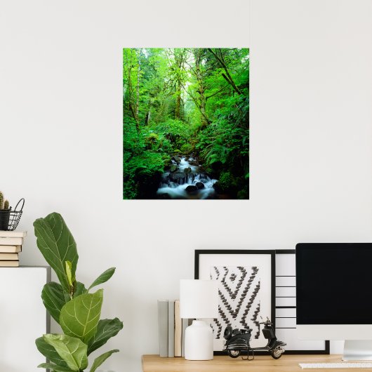 Poster A stream en old-growth forest (Bureau à domicile)