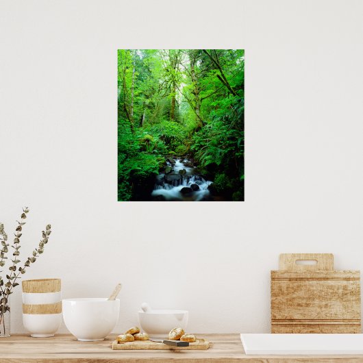 Poster A stream en old-growth forest (Cuisine)