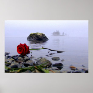Poster À terre lavé rose rouge