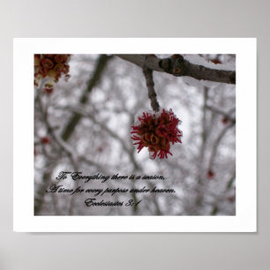 Poster À tout il y a une saison