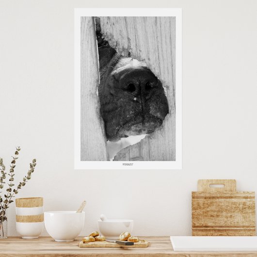 Poster À travers la clôture (Cuisine)