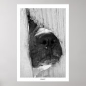 Poster À travers la clôture (Devant)