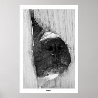 Poster À travers la clôture