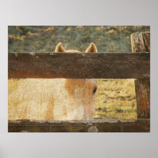 Poster À travers la clôture (Devant)