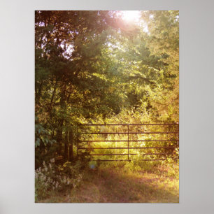 Poster A travers la porte du pays