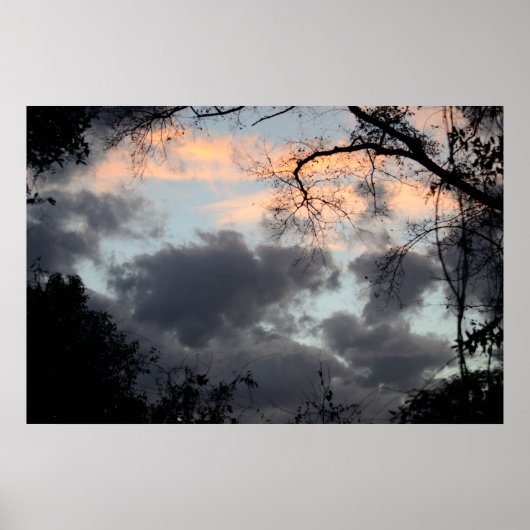 Poster A travers l'affiche Arbres (Devant)